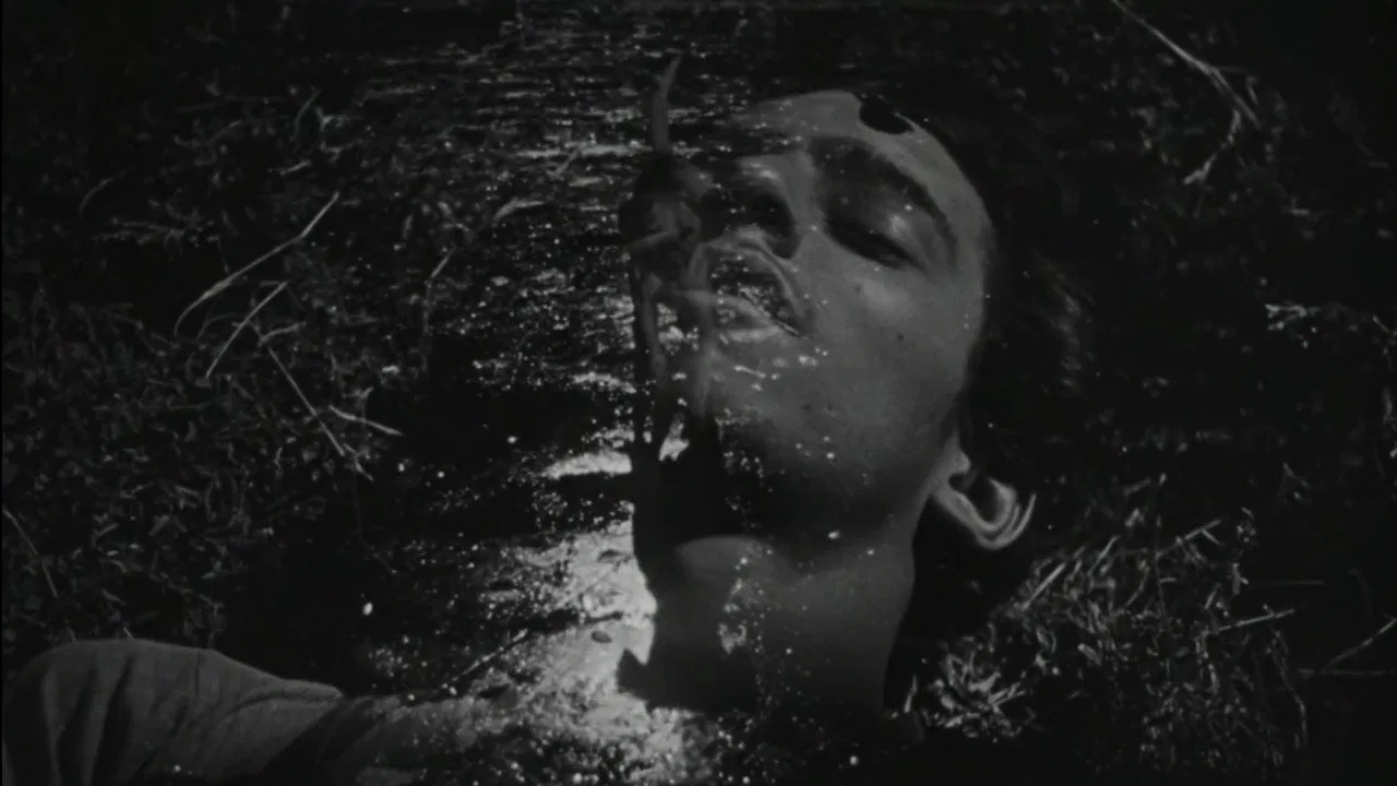 The Young and the Damned backdrop