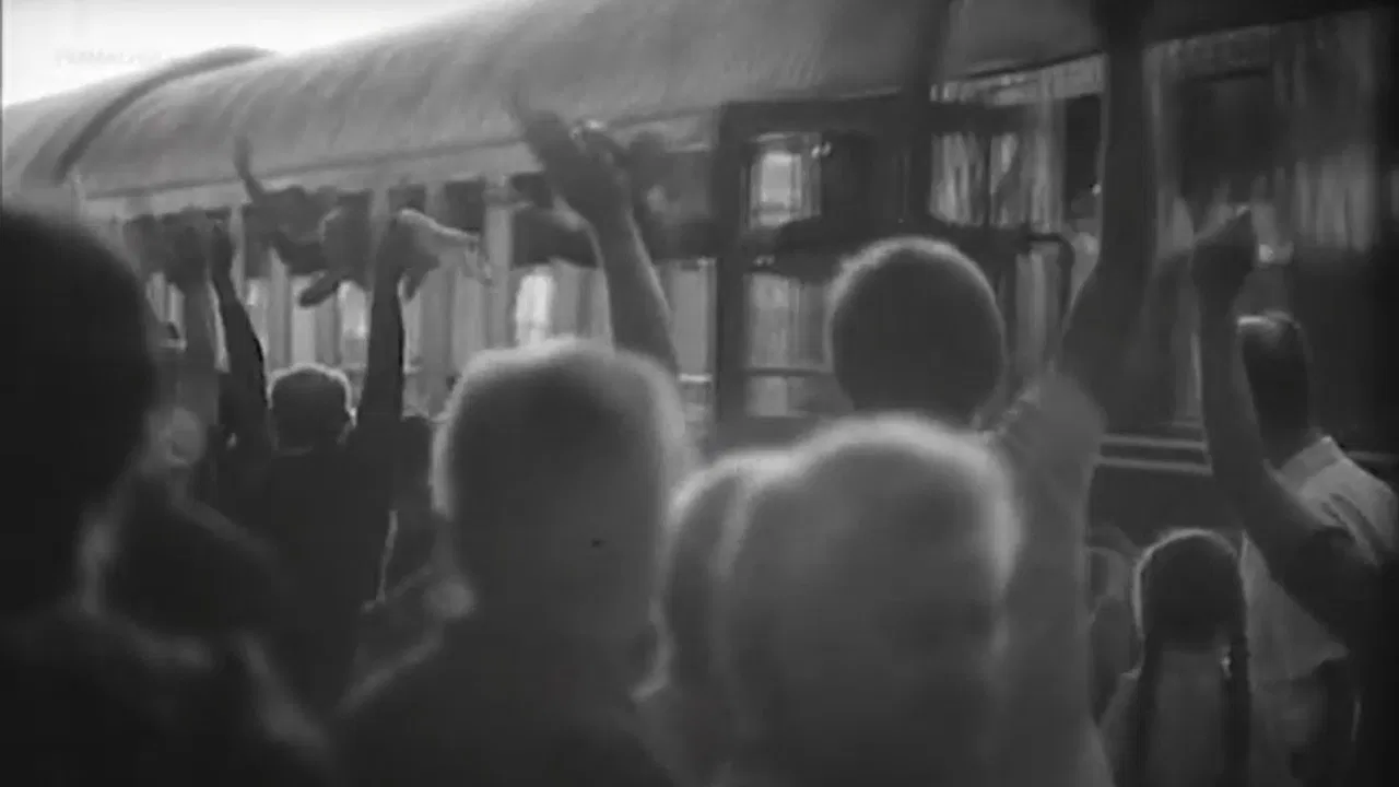 Tisztelt cím! backdrop