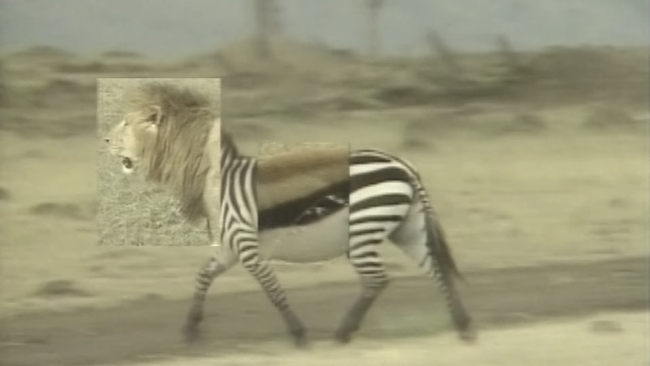 African Animal Puzzle backdrop