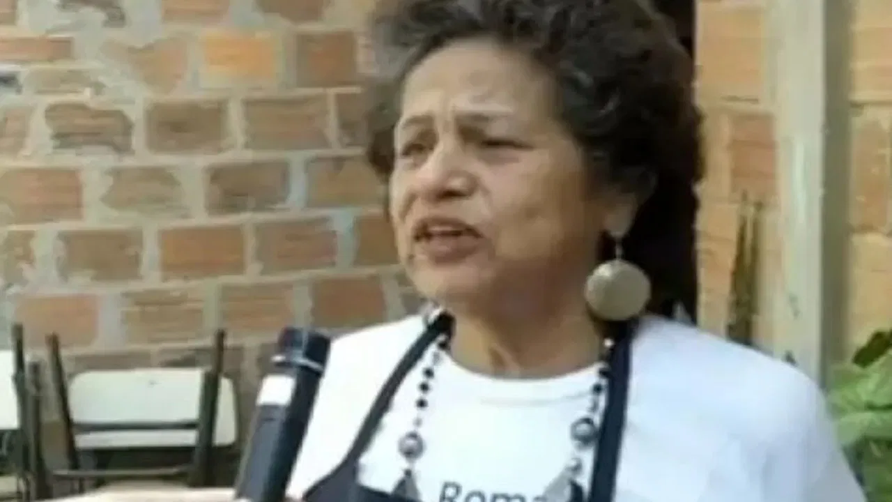 Ilha das Flores: Depois Que A Sessão Acabou backdrop