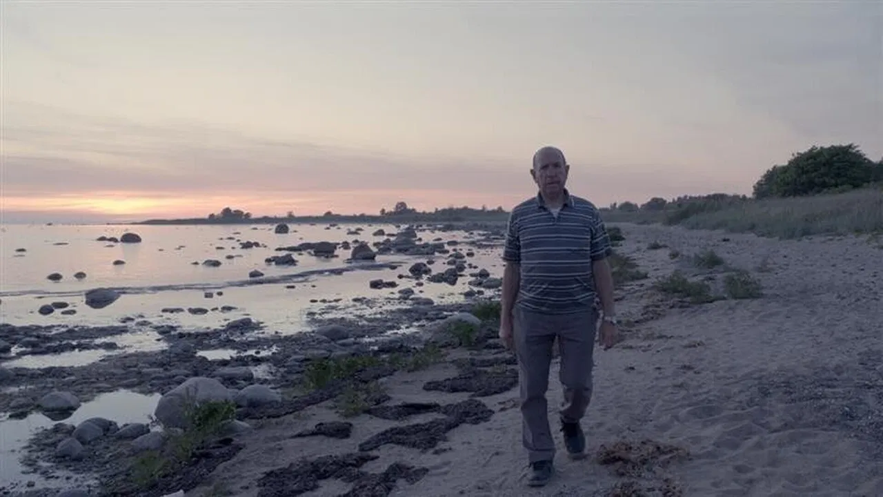 The Weight of All the Beauty backdrop