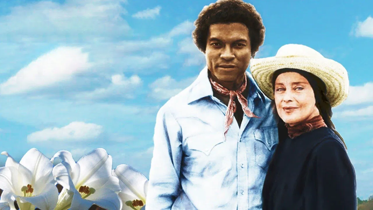 Christmas Lilies of the Field backdrop