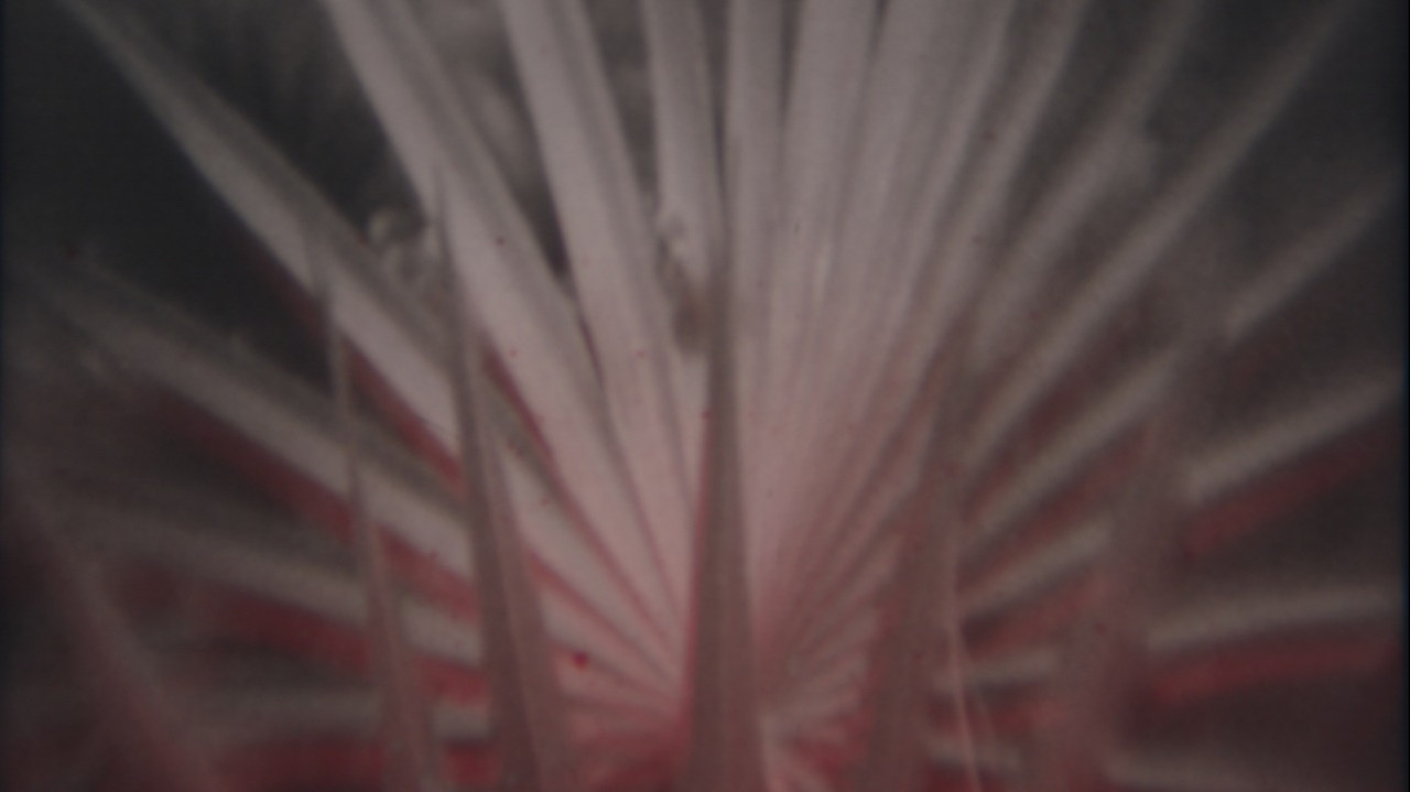 Nowhere Fast backdrop