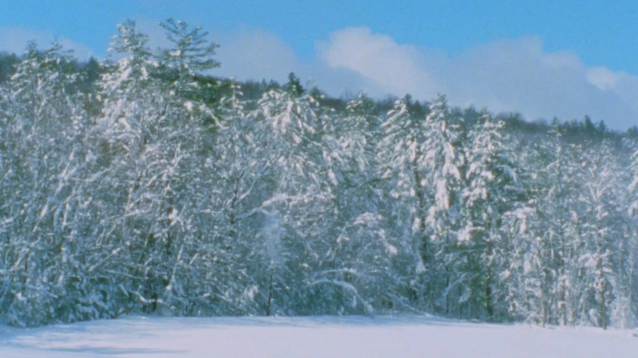 After the Storm backdrop