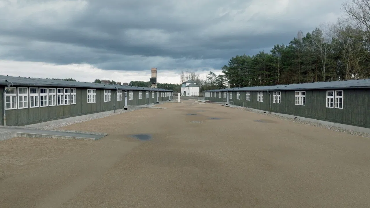 Pink Triangles, Homosexuals Facing Nazism backdrop