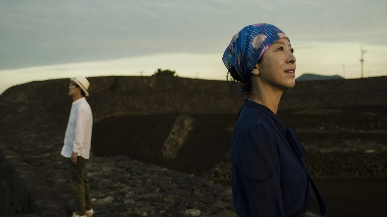 The Dog Eating Up Shadows backdrop