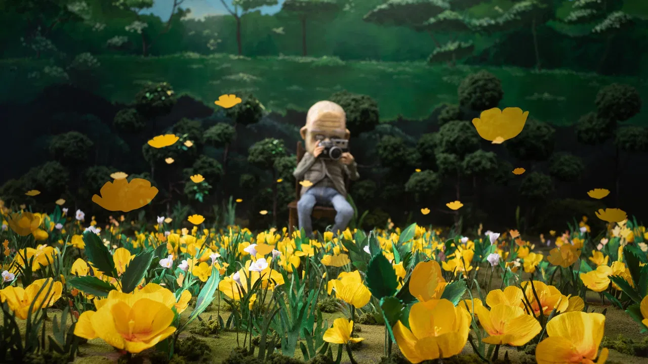 A Man Who Takes Pictures of Flowers backdrop