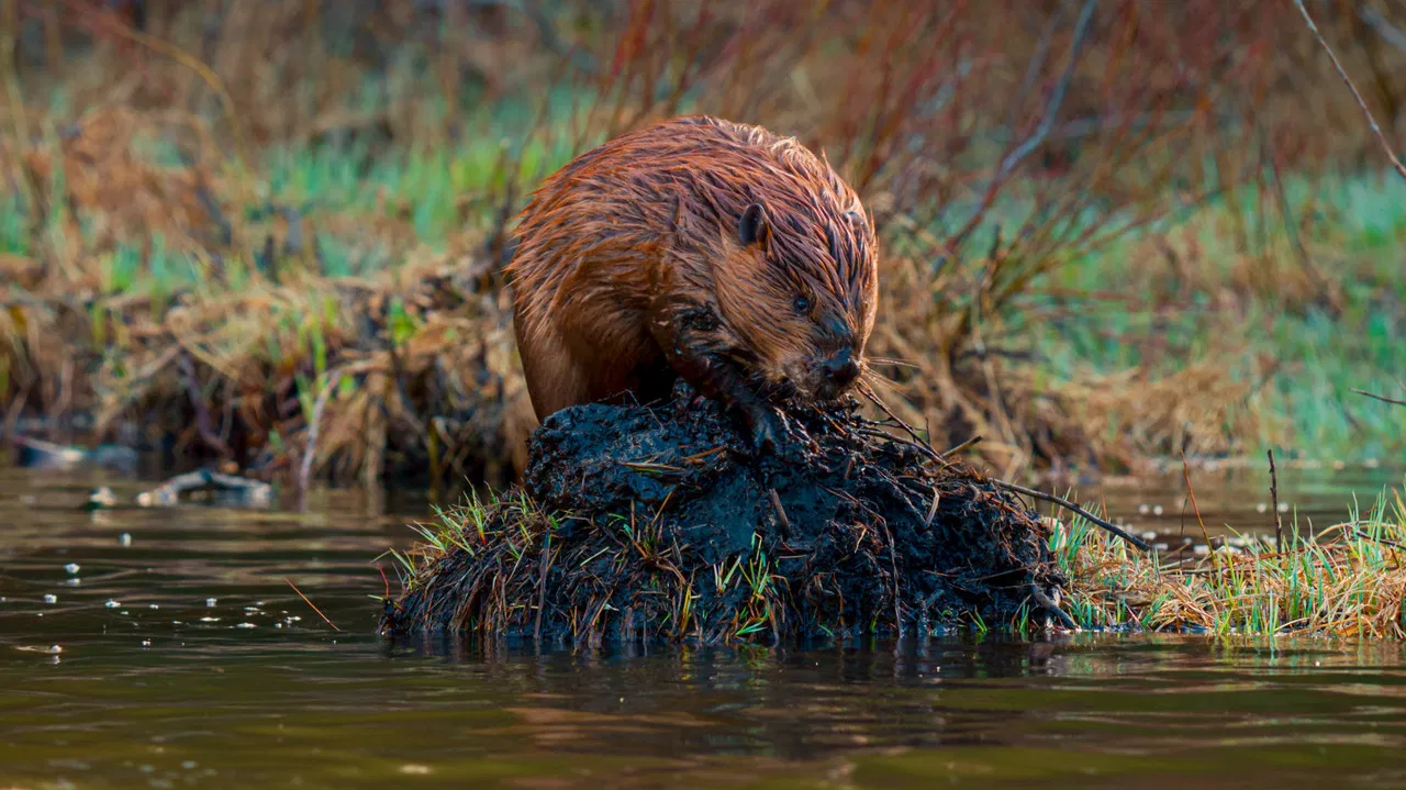 The American Southwest backdrop