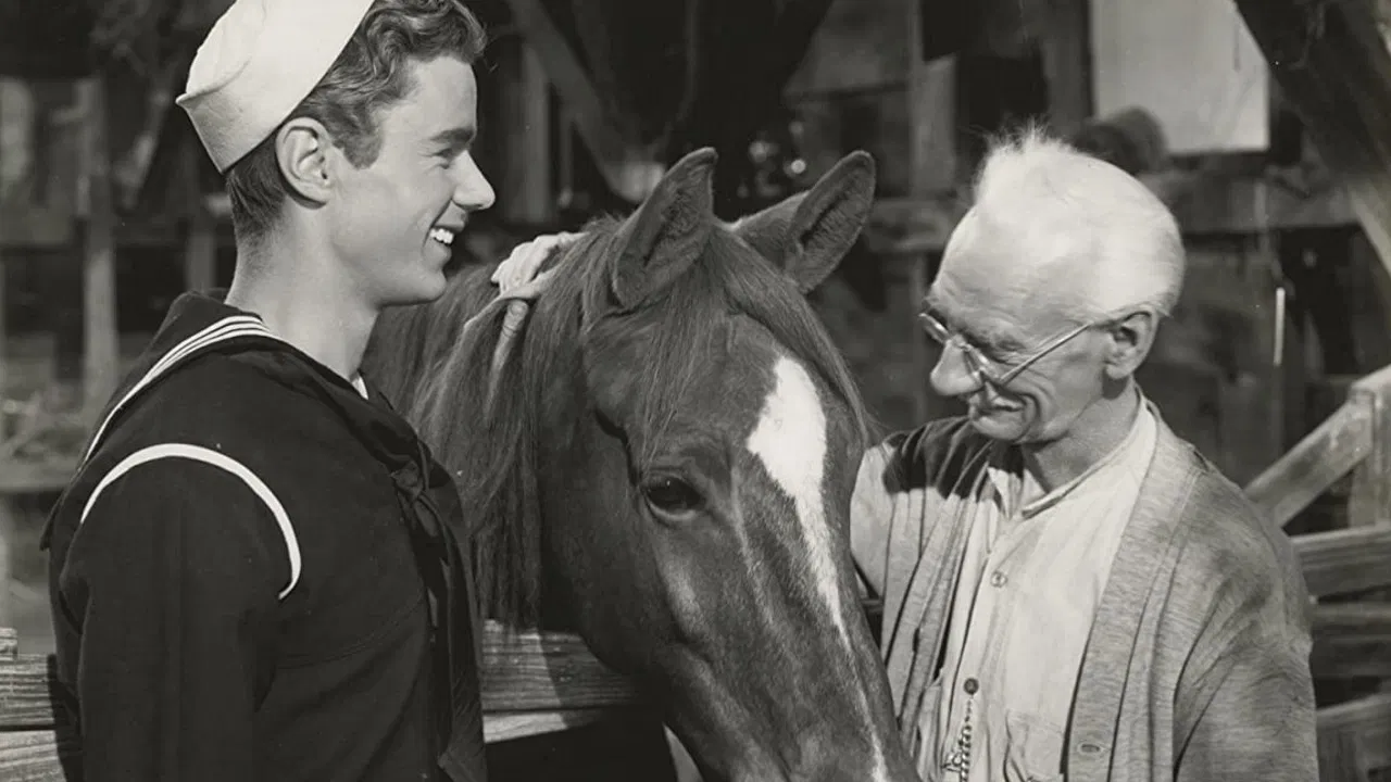 Gallant Bess backdrop