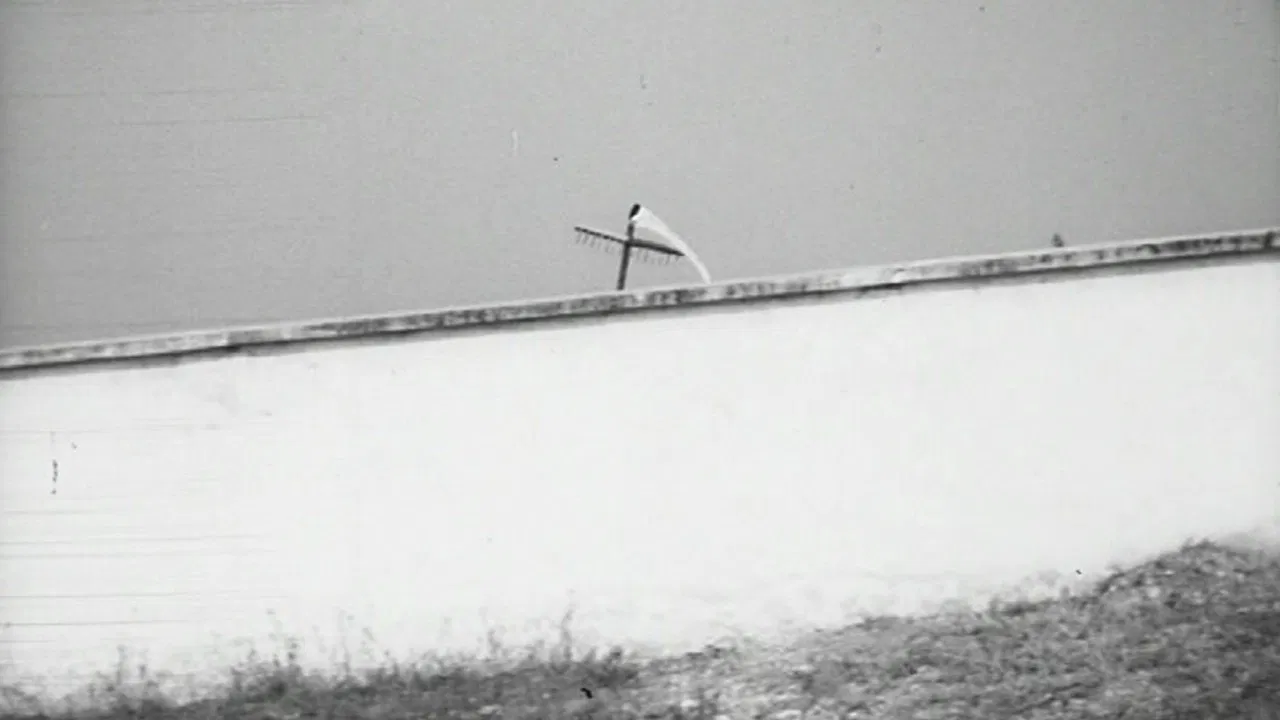 Down With Uncle backdrop