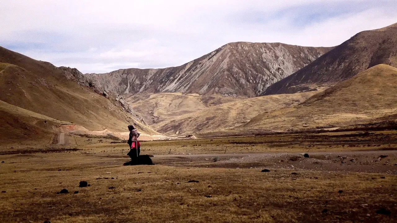 To Alexandra backdrop