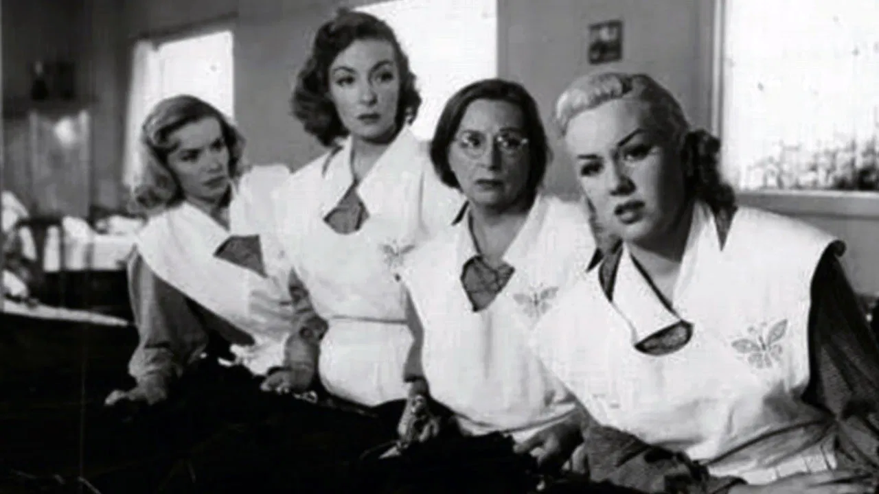 Mujeres en sombra backdrop