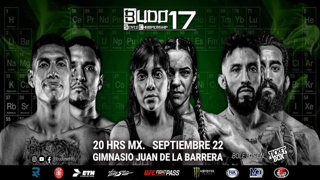 Budo Sento Championship 17 backdrop