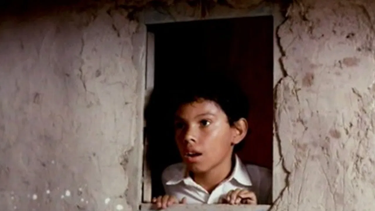 El señor de los pájaros backdrop