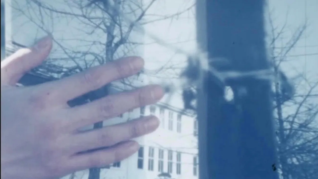 In the Spring Season backdrop