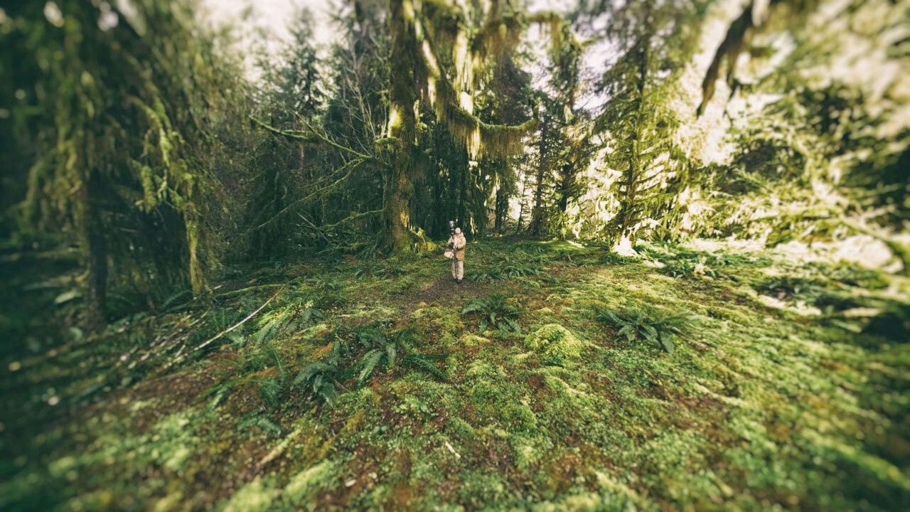 Sanctuaries of Silence backdrop