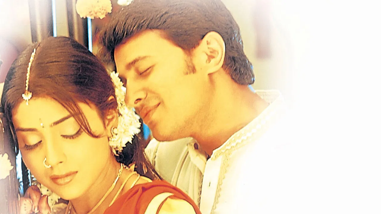 Mogudu Pellam O Dongodu backdrop