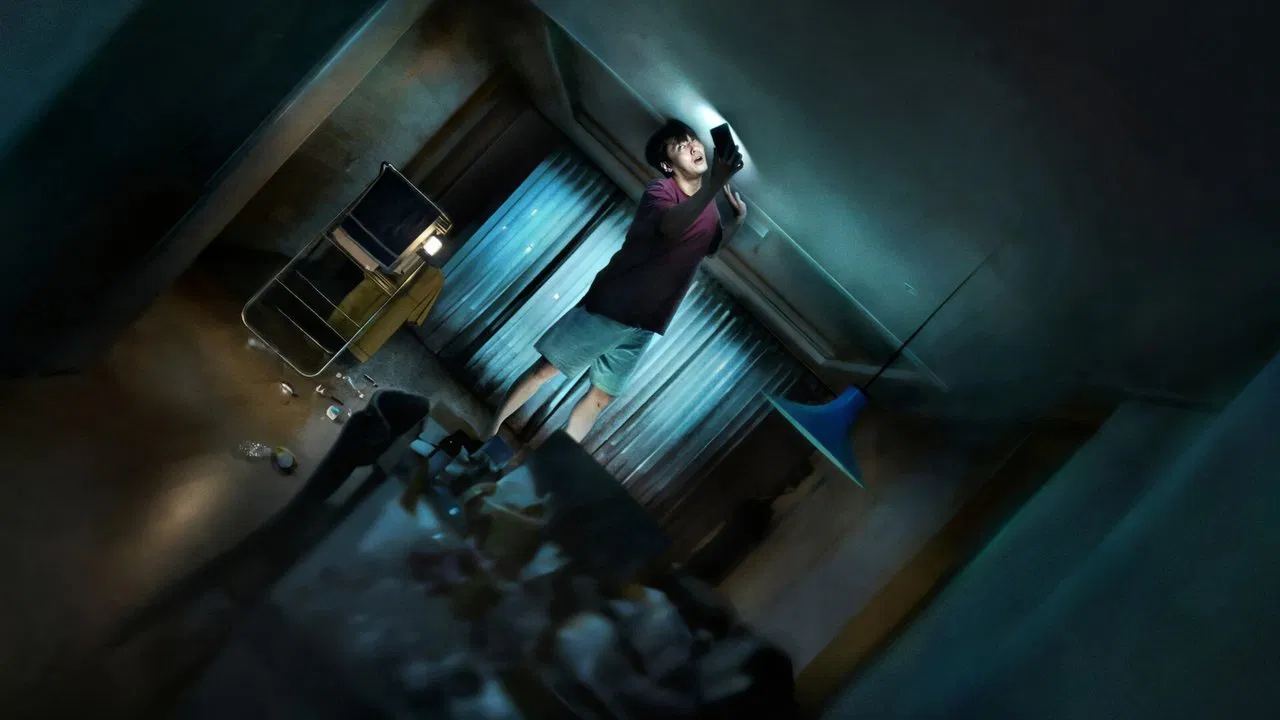 Wall to Wall backdrop