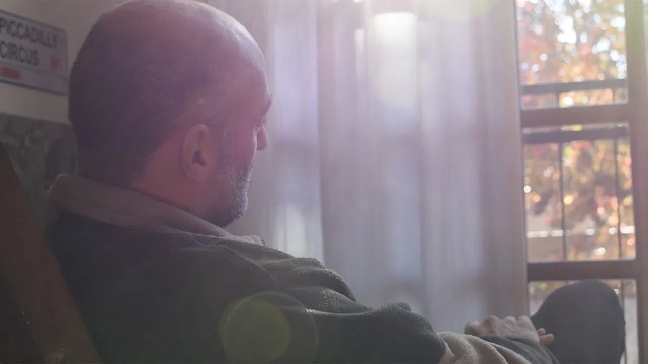 Las estaciones de la vida backdrop