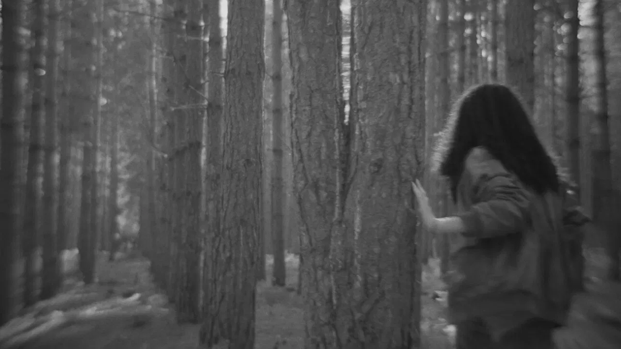 Wayfaring Stranger backdrop