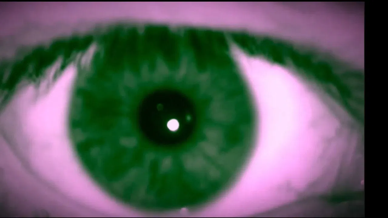 Fragments of a Memory backdrop