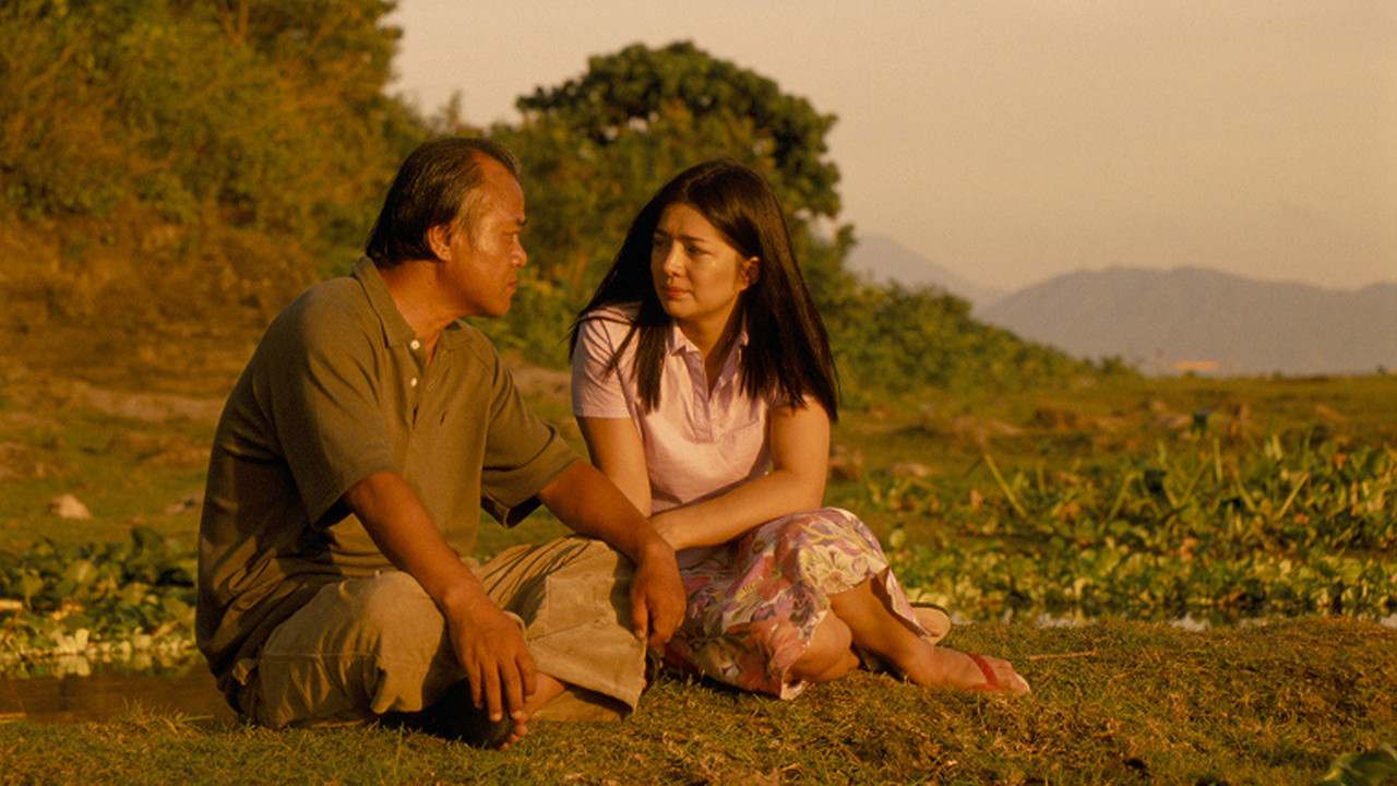 Love Tomato backdrop