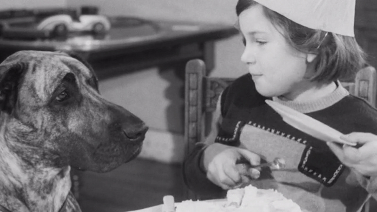 Juno Helps Out backdrop