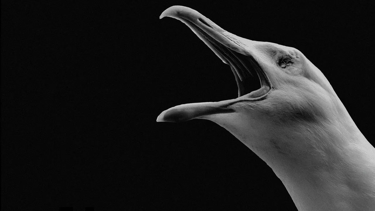 The Lighthouse: A Dark & Stormy Tale backdrop