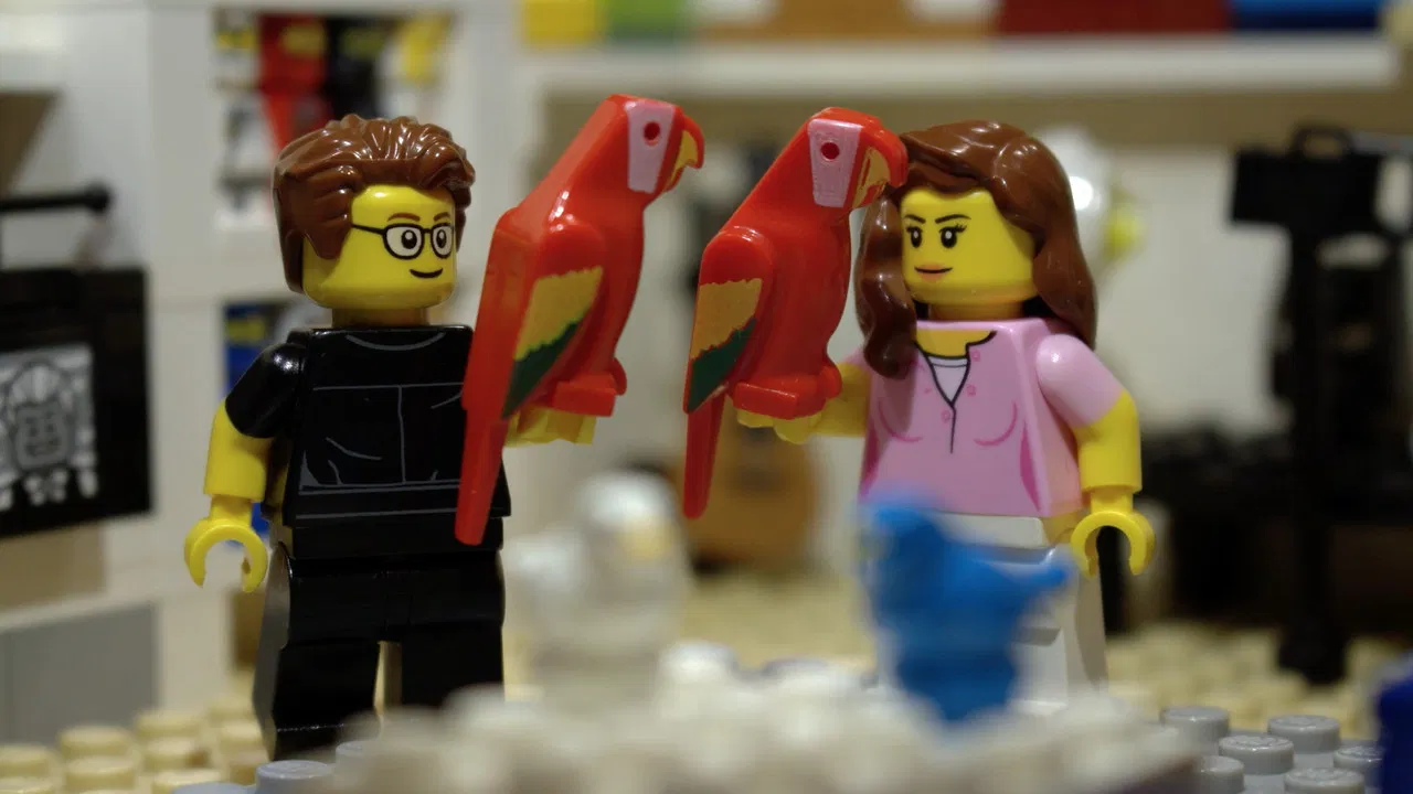 Dobrák od kostky backdrop