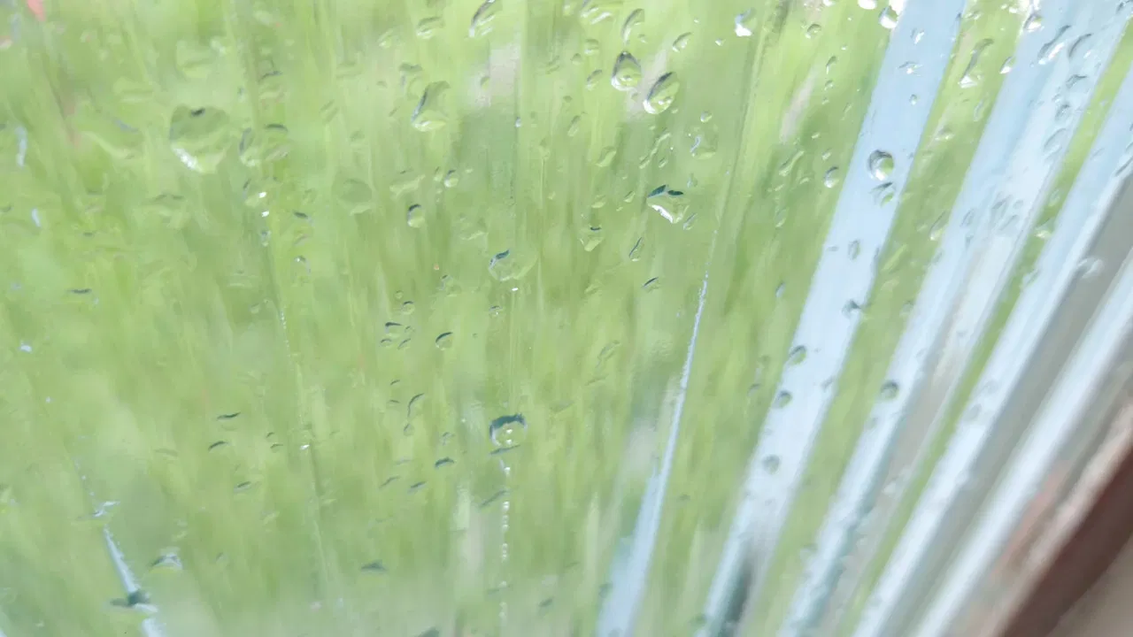 it rains on a saturday backdrop