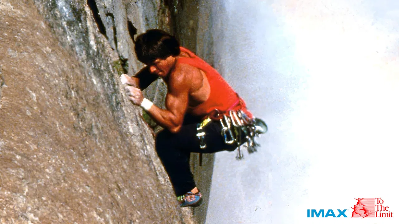 To The Limit backdrop