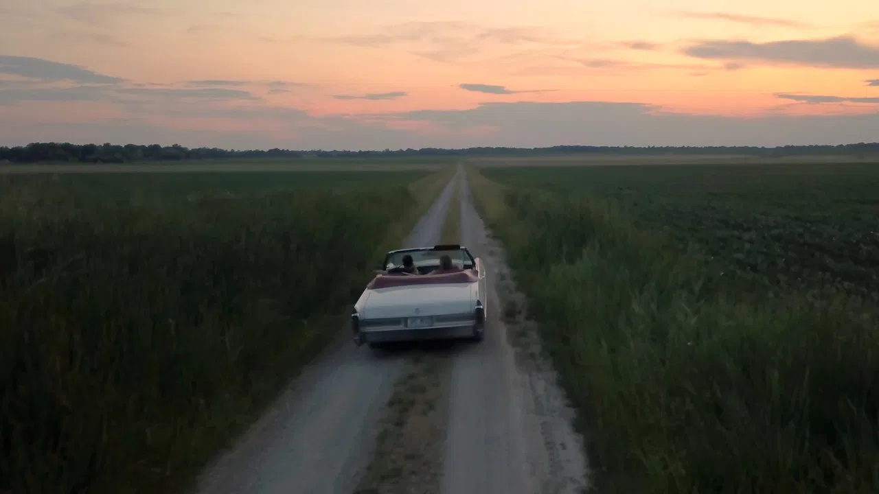 Green Frog Cafe backdrop