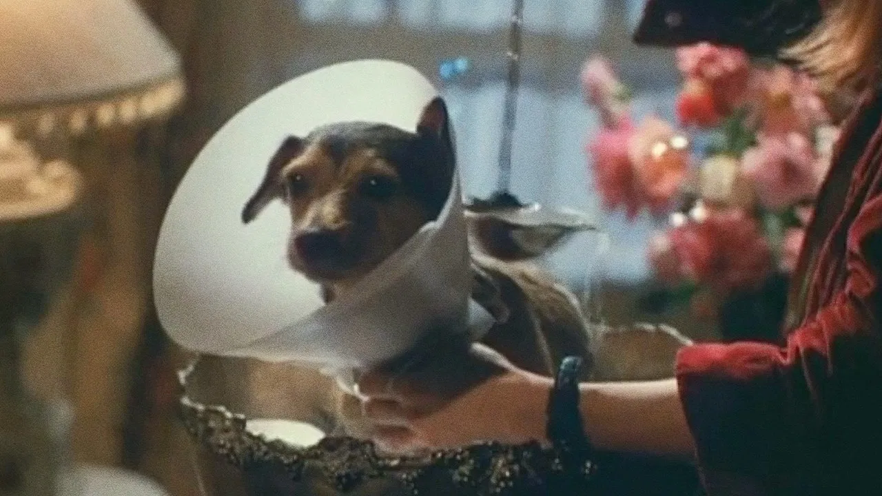 Every Dog Has Its Day backdrop