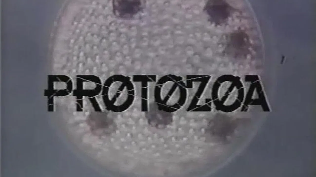 Protozoa backdrop