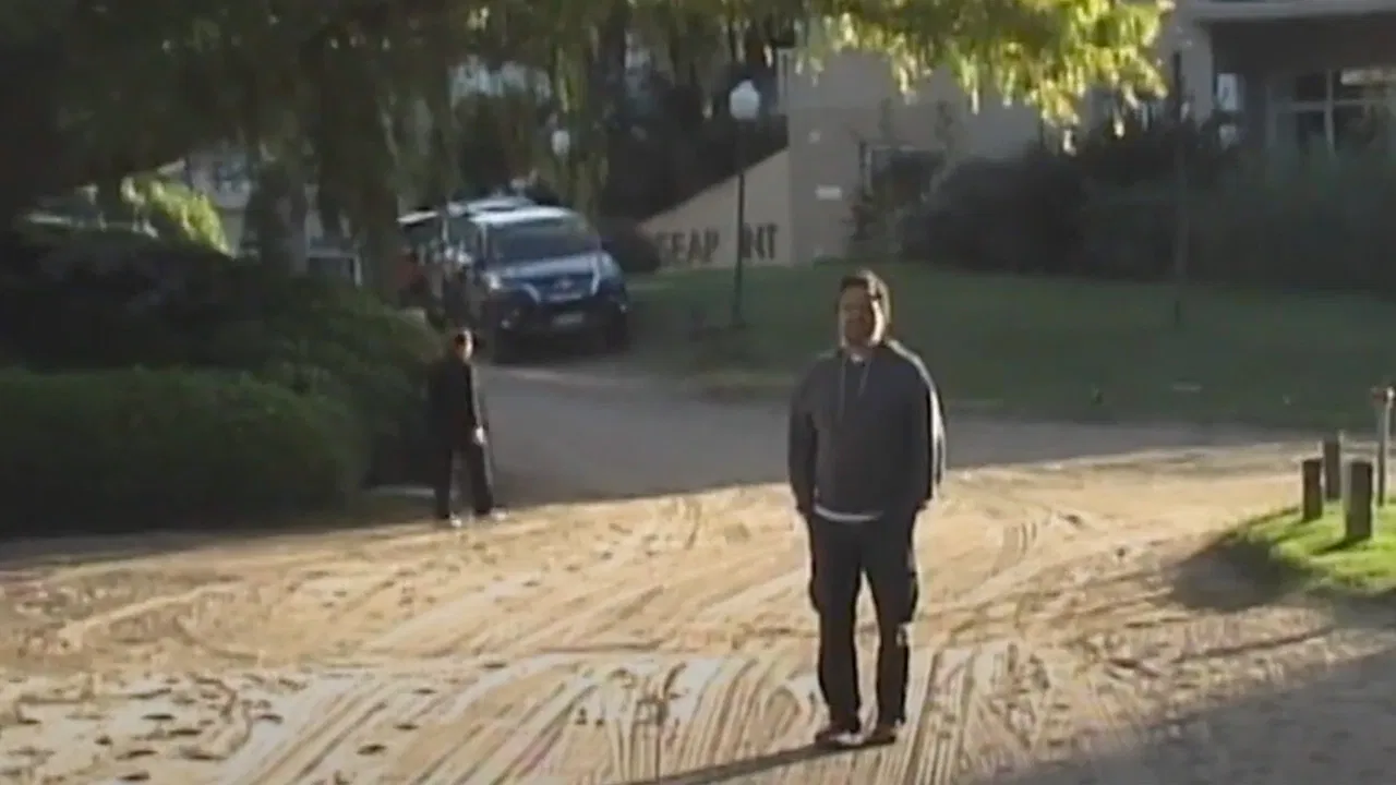 Buscando a Maga backdrop