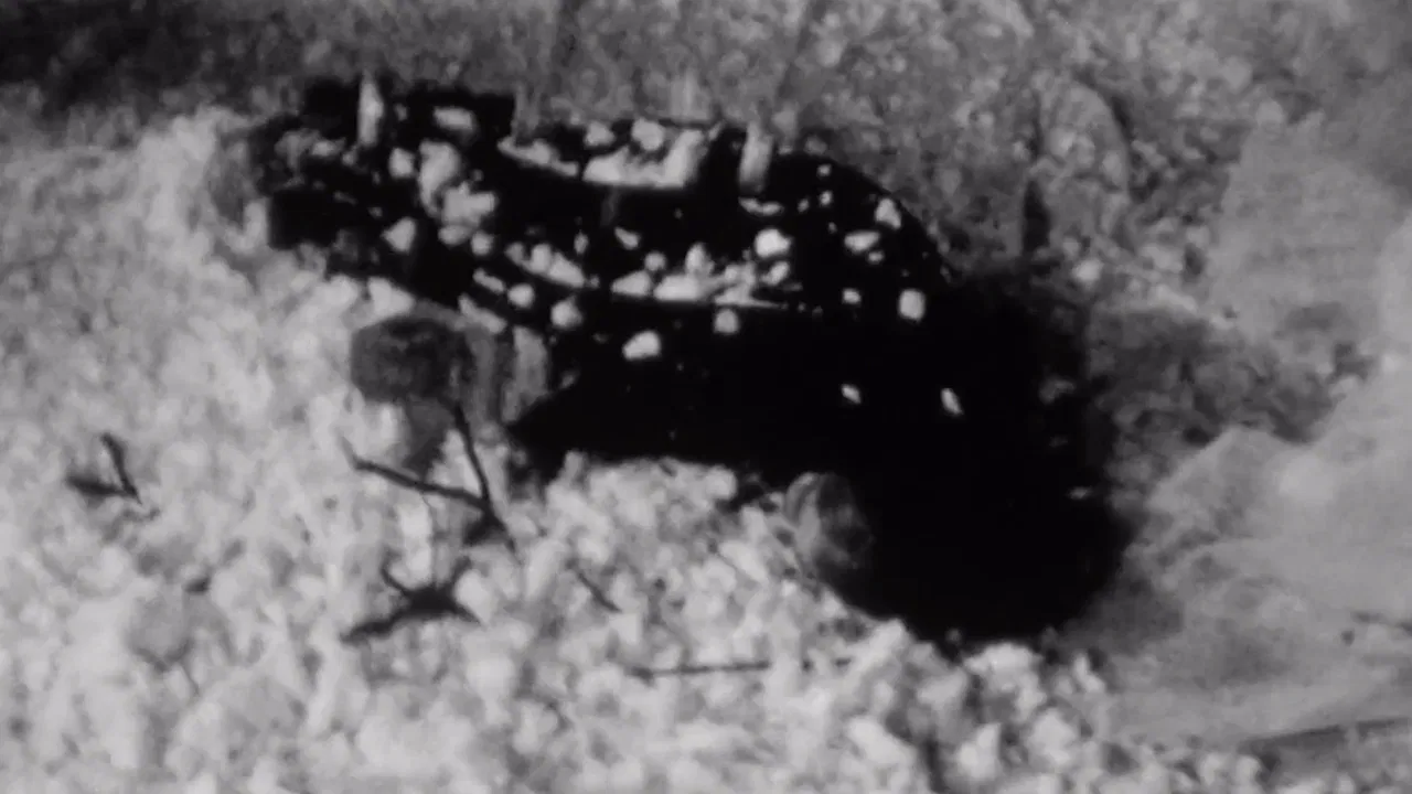 Spring and Winter backdrop