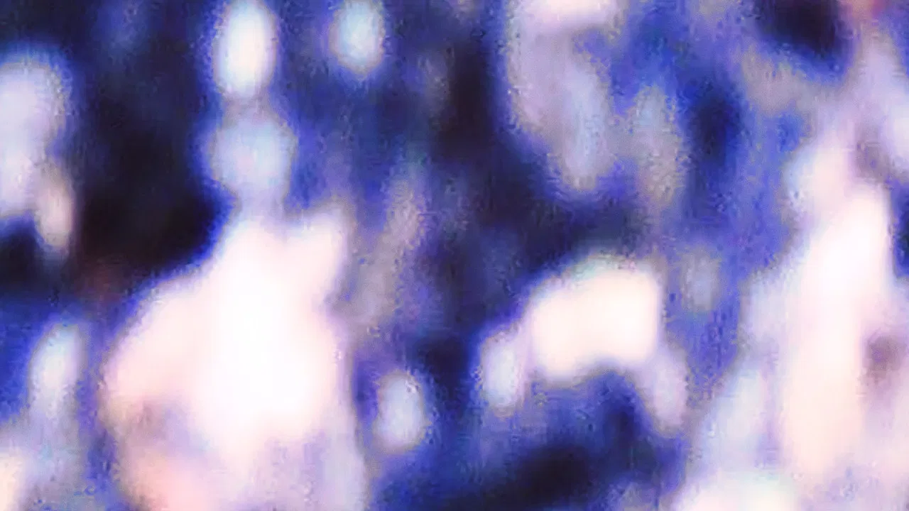 Inspection 01 backdrop