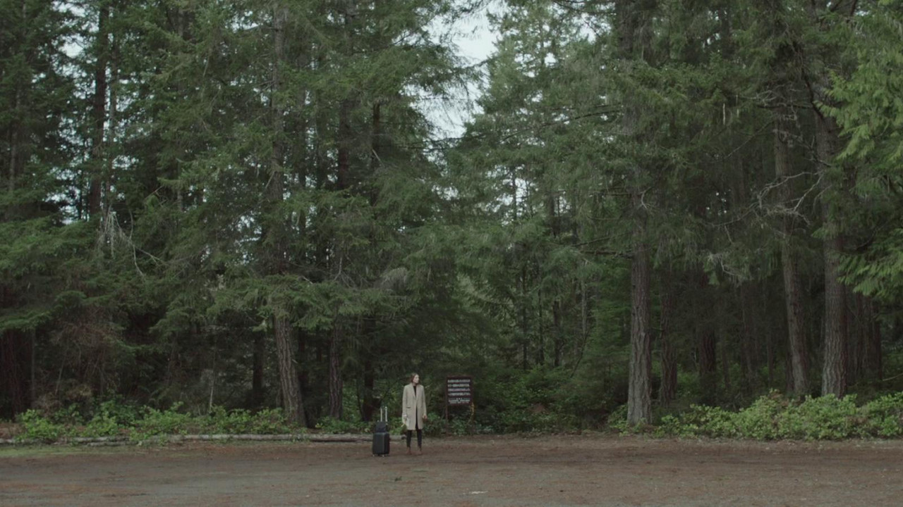 The People Garden backdrop
