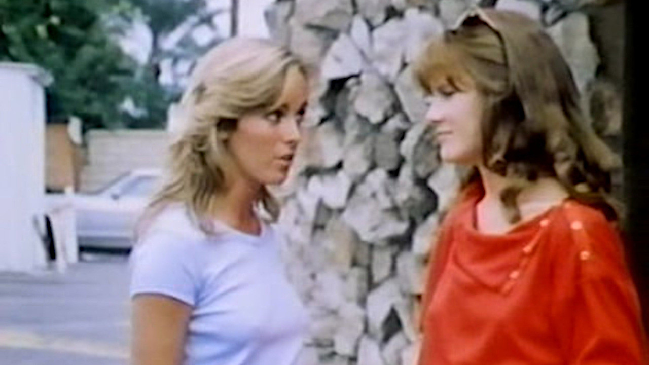 Bimini Code backdrop