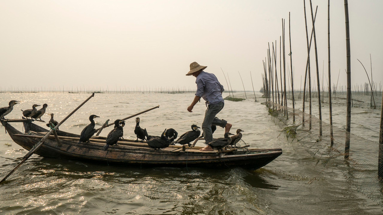 Along the Banks of the Yangtze backdrop