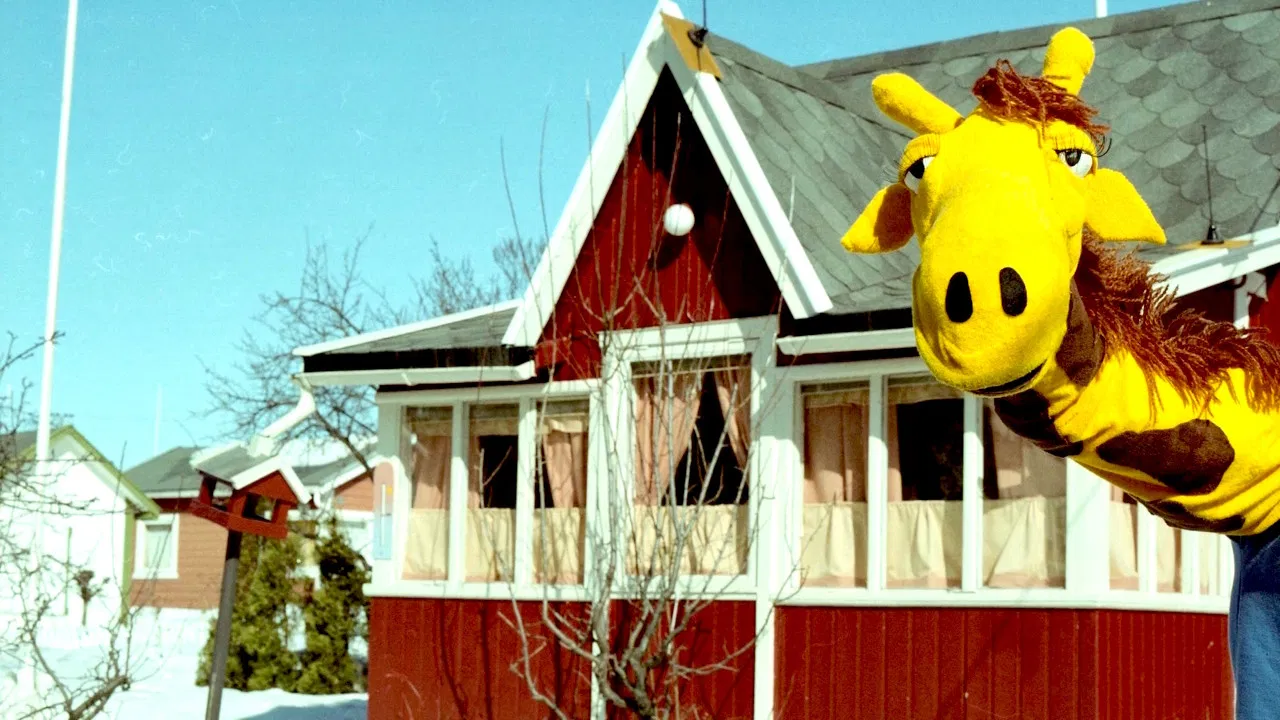 Portveiens julekalender backdrop