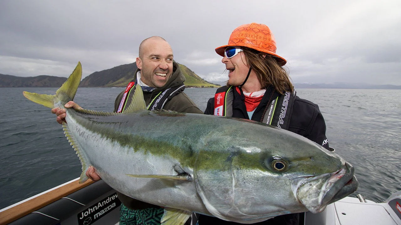 Big Angry Fish backdrop