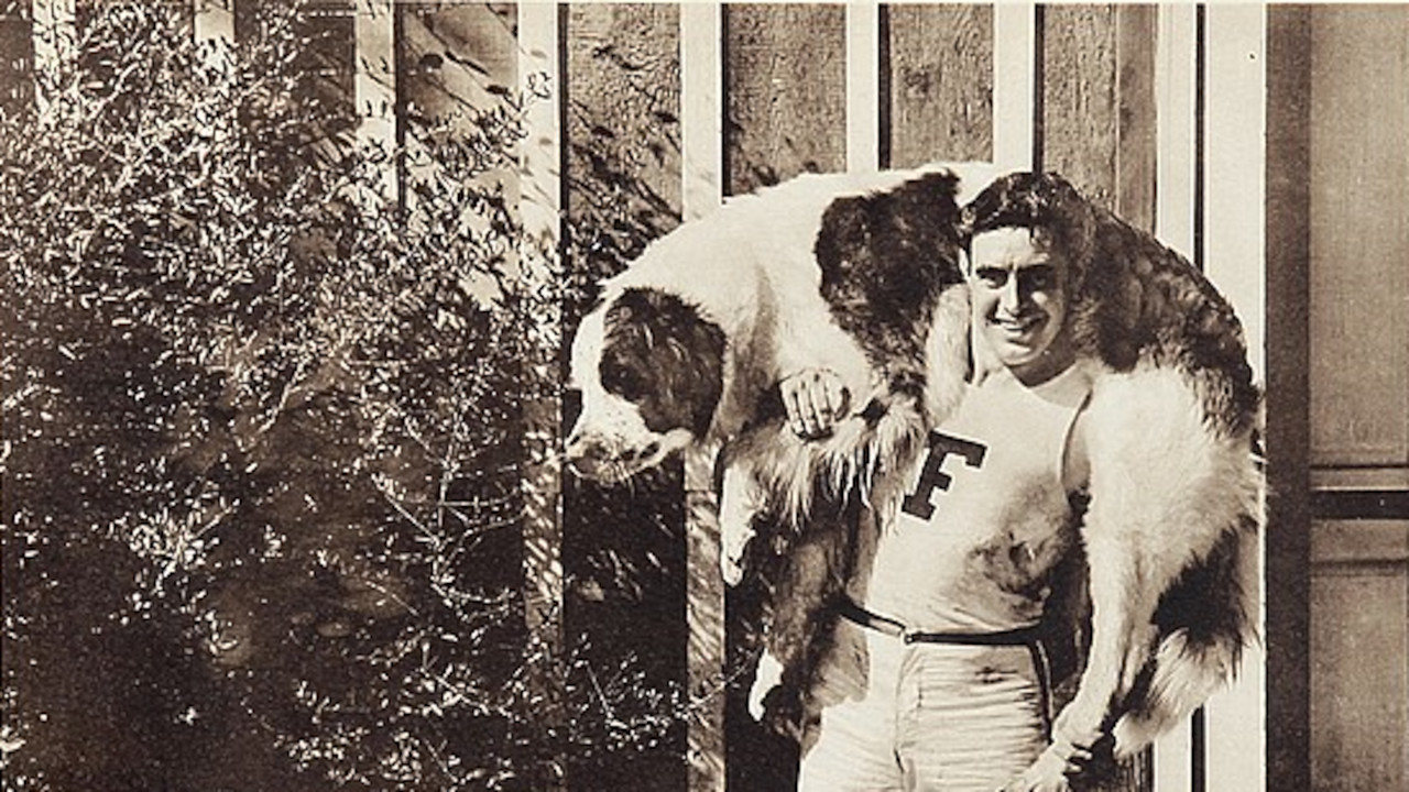 Help! Help! Police! backdrop