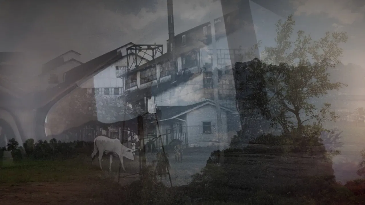 Fordlândia Panacea backdrop