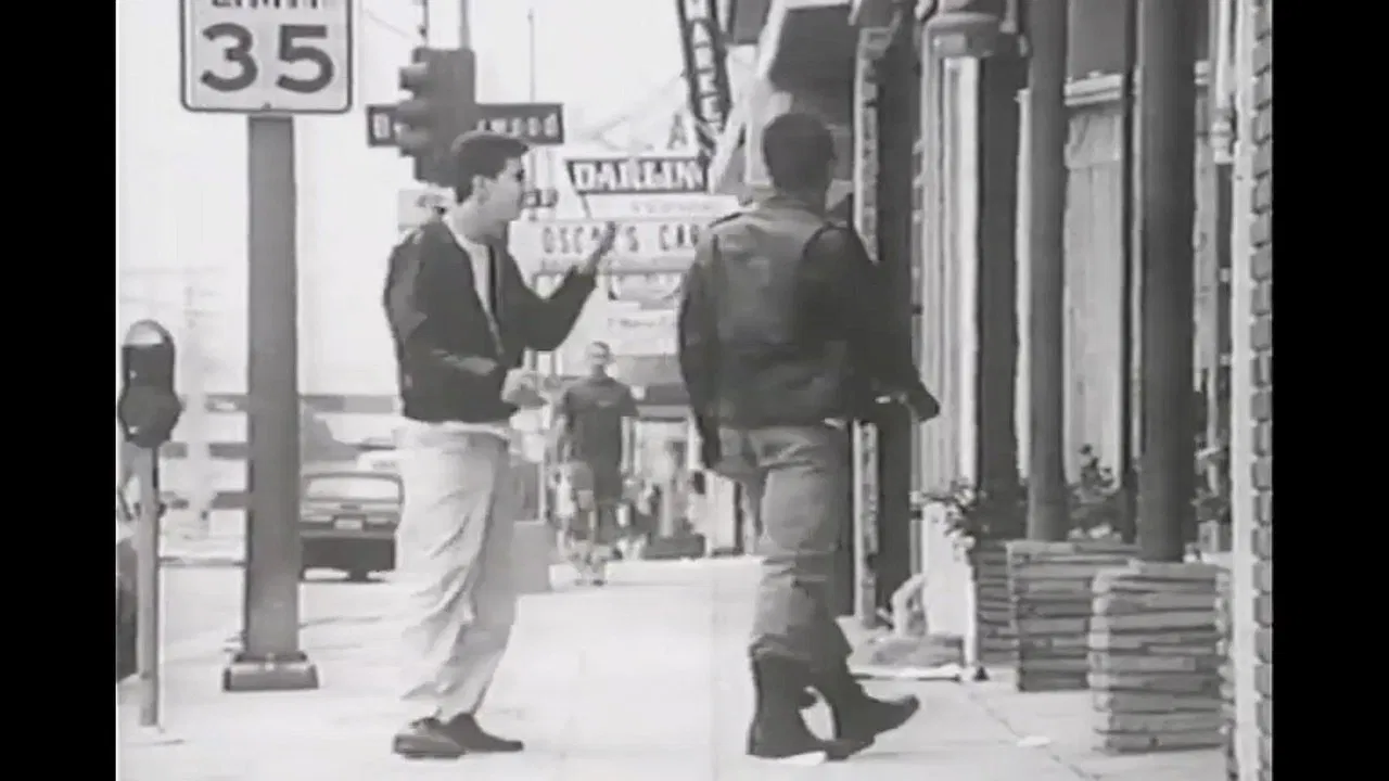 The Natural History of Parking Lots backdrop
