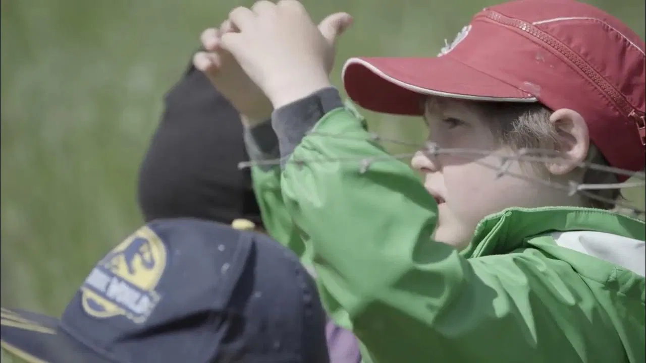 Tutto è qui backdrop