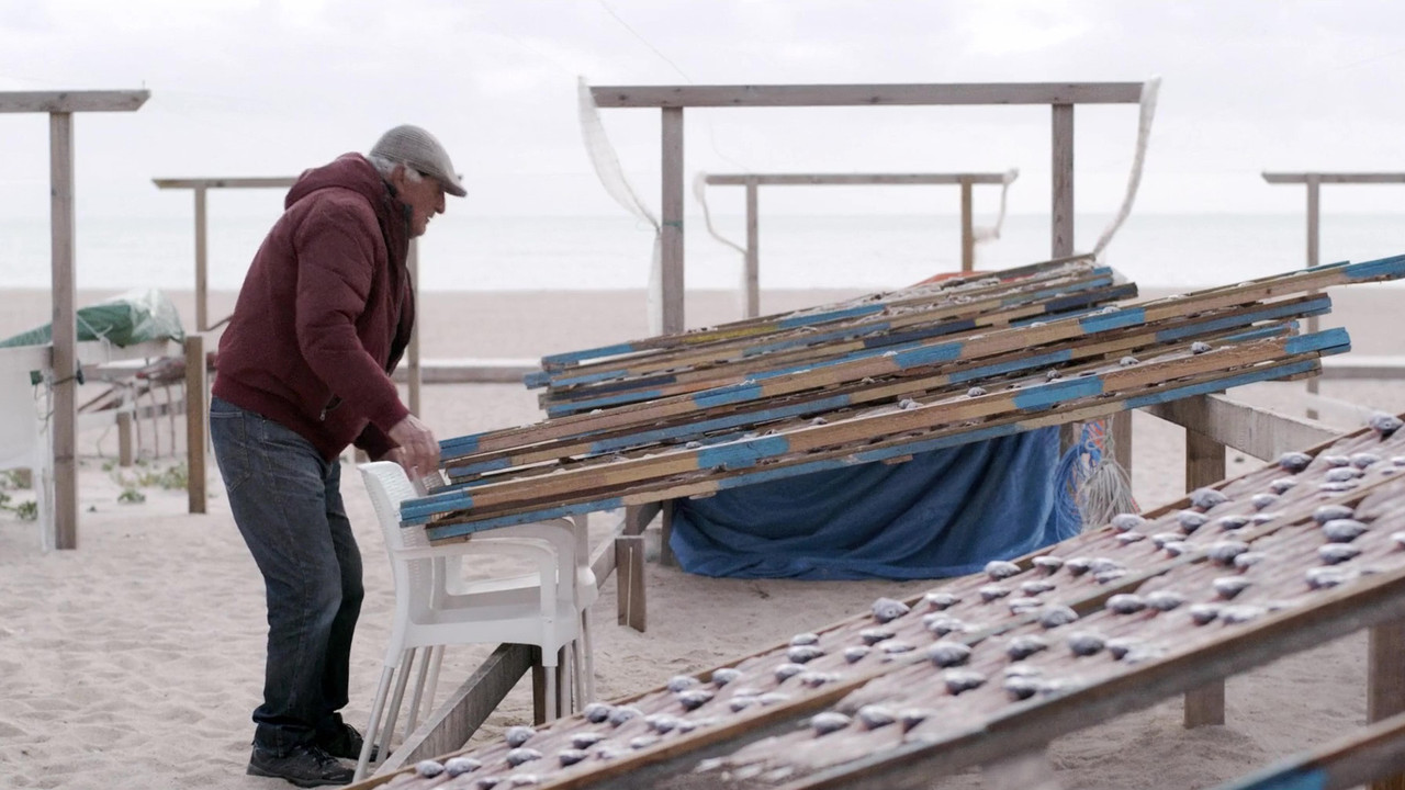 Vento de Sal backdrop