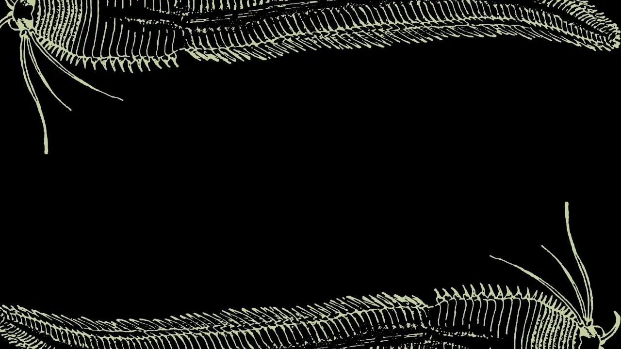 Podres Alegorias backdrop