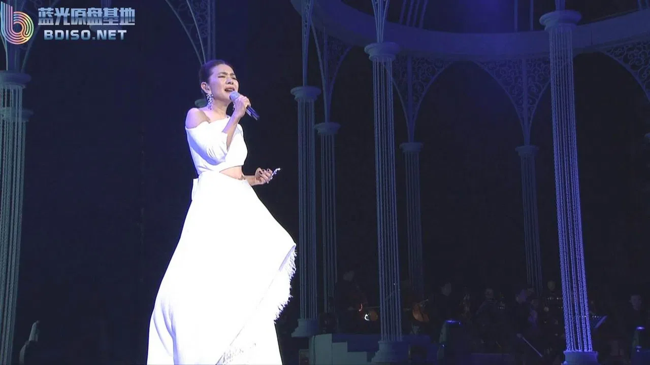 Stella Live Concert 2015 backdrop