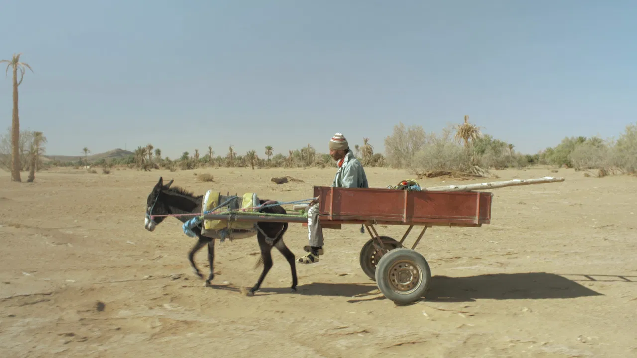 Borj el mechkouk backdrop